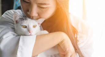Top 3 Reasons a Pet is Good for Your Health